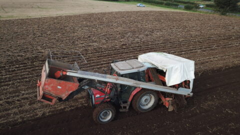 Tractor harvesting a ploughed field under green hills