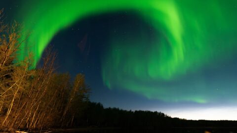 Green aurora over a lake and treeline at night
