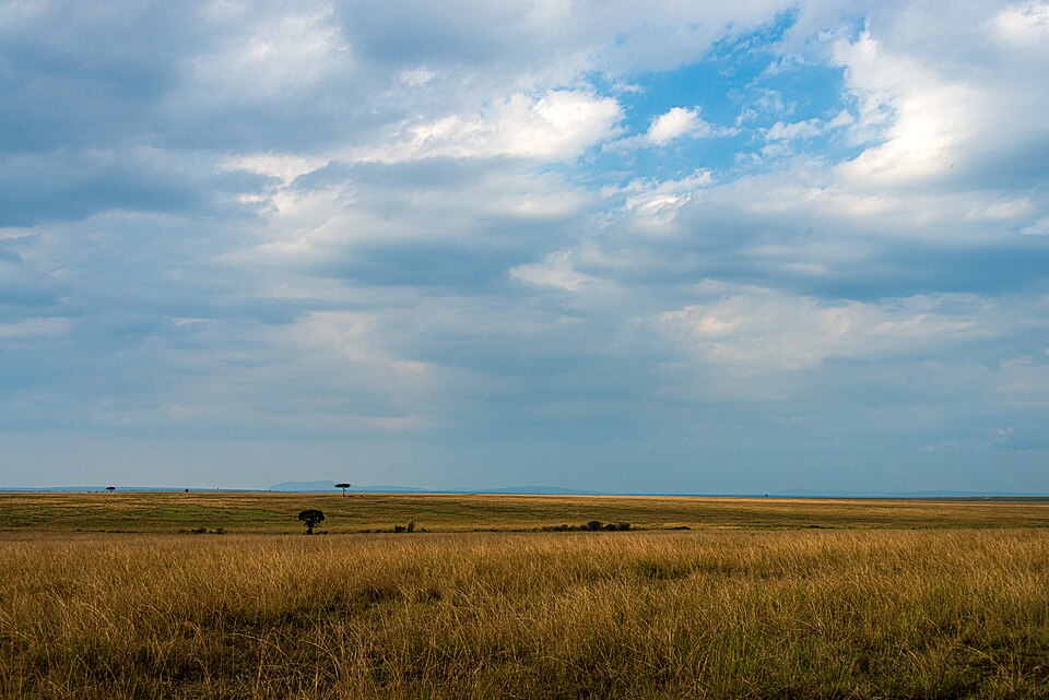 Maasai Mara savanna landscape in Kenya